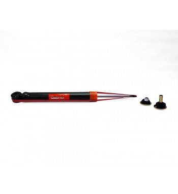 Amortiguador Gabriel