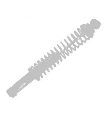 Amortiguador Gabriel