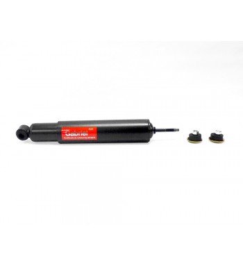 Amortiguador Gabriel